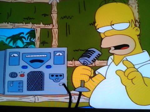 Homer Simpson, Ham Radio Operator